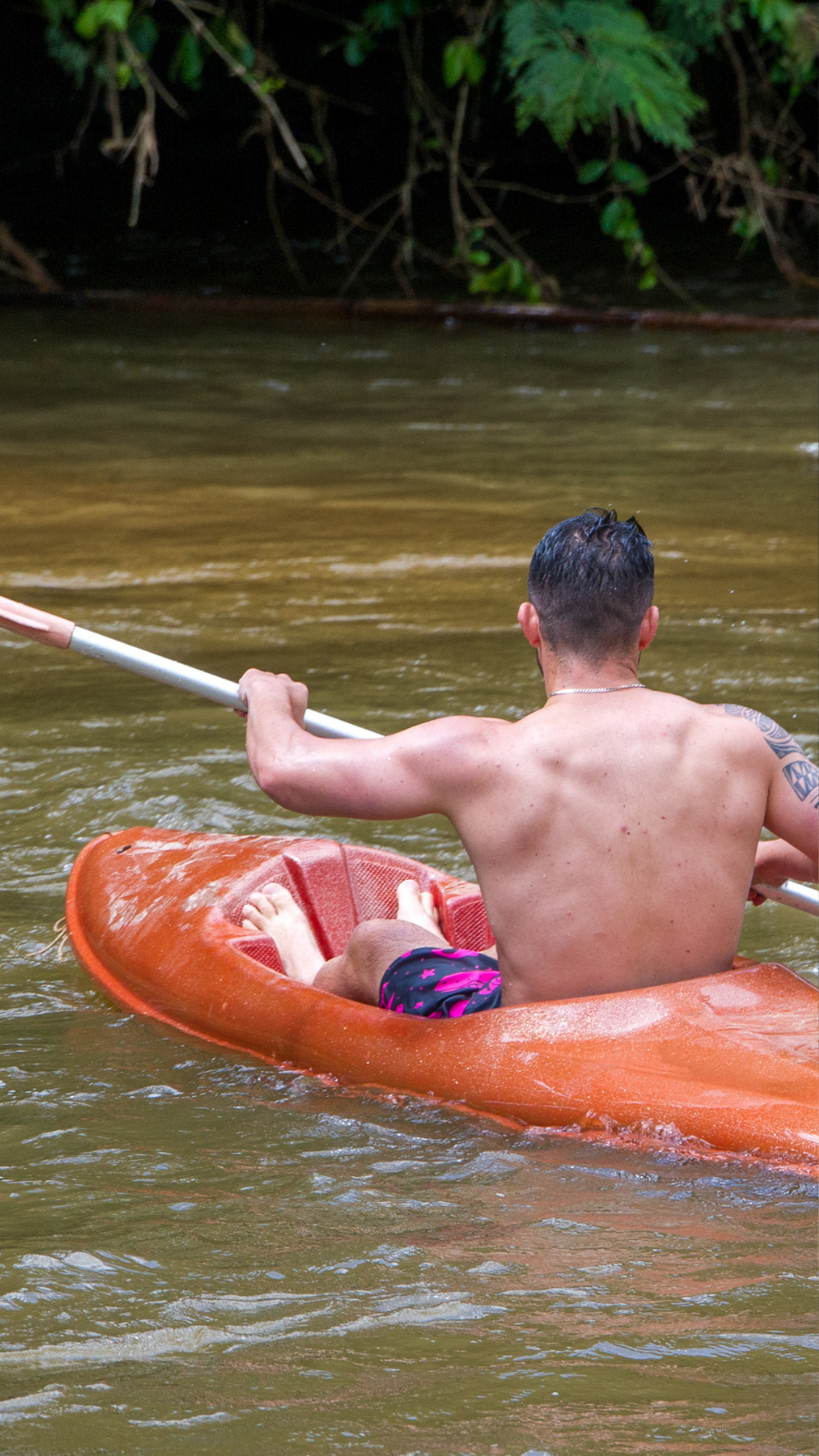 cópia de cópia de cópia de cópia de lp itc 20250707 141829 0000